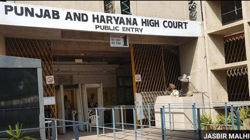 Punjab Haryana High Court Punjab Haryana High Court
