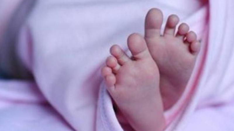 newborn newborn