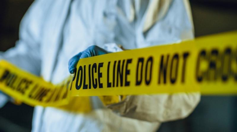 murder murder