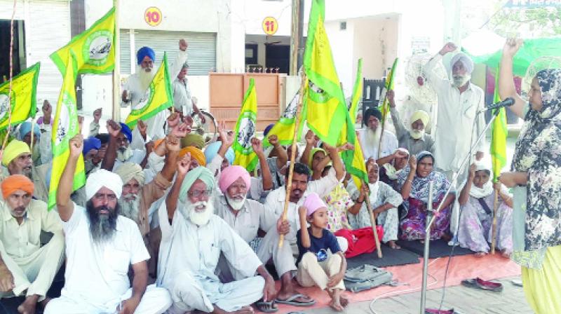 Farmers Giving Protest for Demanding Arrest of Accused Farmers Giving Protest for Demanding Arrest of Accused