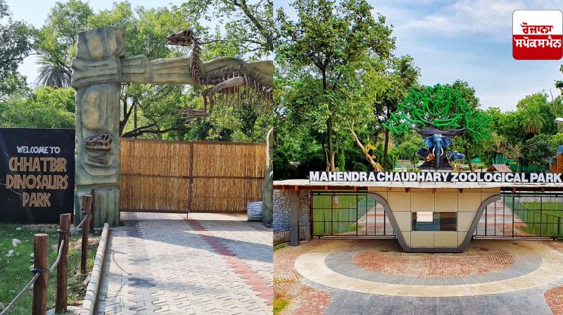 More than 90,000 school students visit Chhatbir Zoo in a year More than 90,000 school students visit Chhatbir Zoo in a year