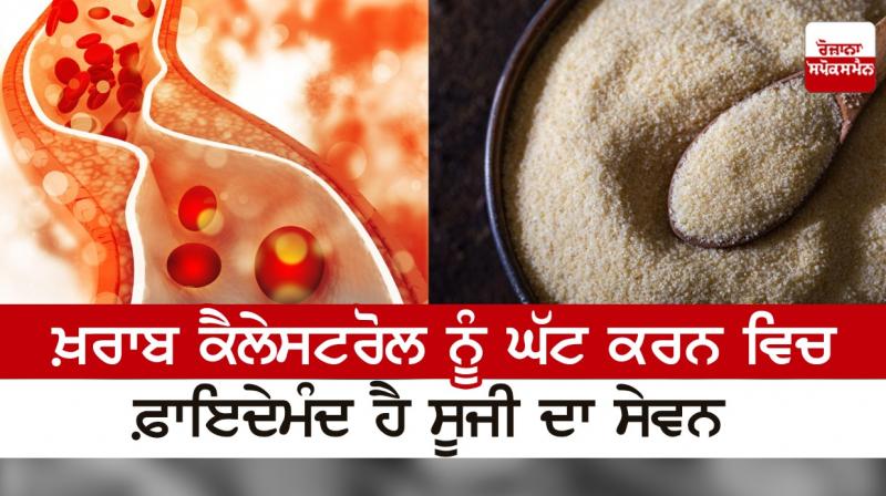 Consumption of semolina is beneficial in reducing bad cholesterol Consumption of semolina is beneficial in reducing bad cholesterol