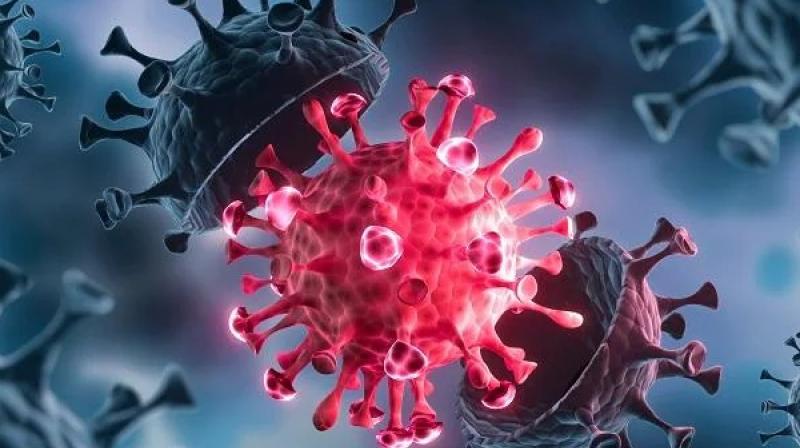 Coronavirus Coronavirus