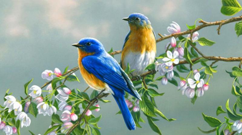 Best place to visit in january on weekend near by delhi ncr Best place to visit in january on weekend near by delhi ncr