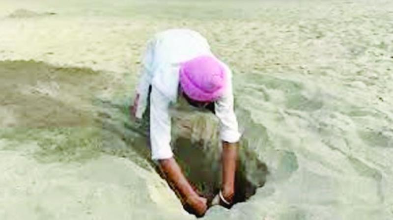 Punjab Flood News in punjabi 