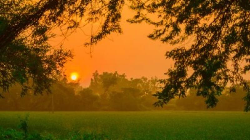 Punjab Weather Update