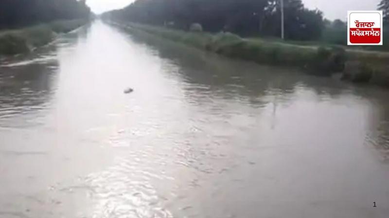 Mansa: Farmer commits suicide by jumping into canal, FIR against 4 Mansa: Farmer commits suicide by jumping into canal, FIR against 4