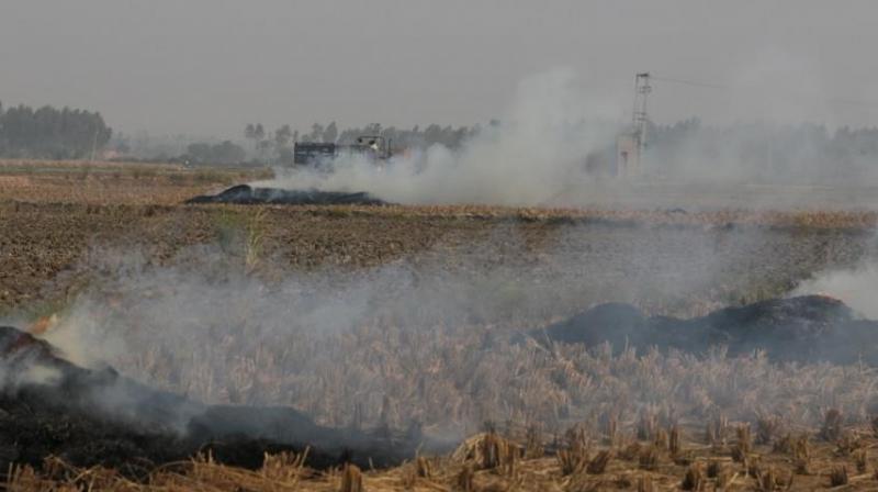 Punjab Chief Secretary appeals to farmers, don't burn stubble for a healthy future Punjab Chief Secretary appeals to farmers, don't burn stubble for a healthy future
