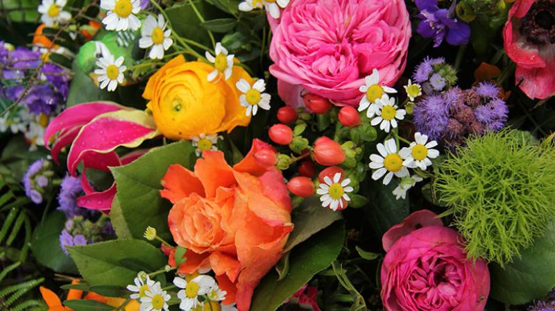 Flowers Flowers