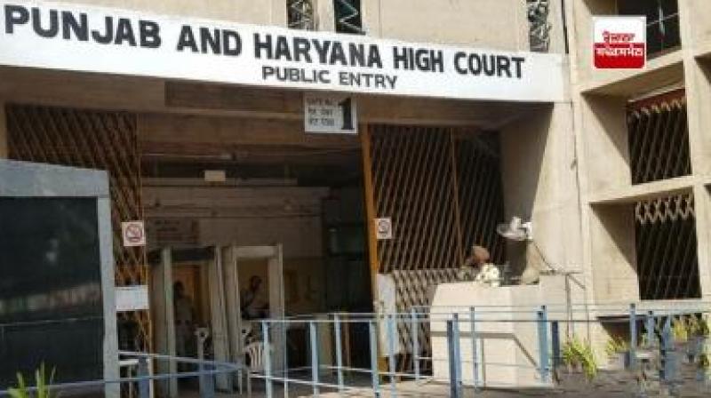 Punjab and Haryana High Court Punjab and Haryana High Court