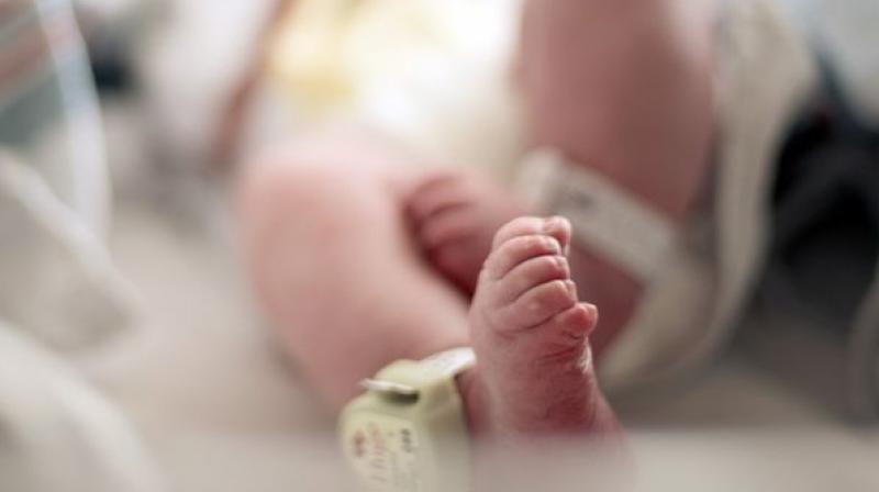 New Born Baby New Born Baby