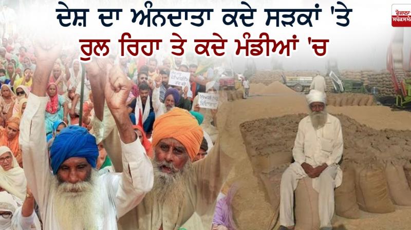 farmer protest farmer protest