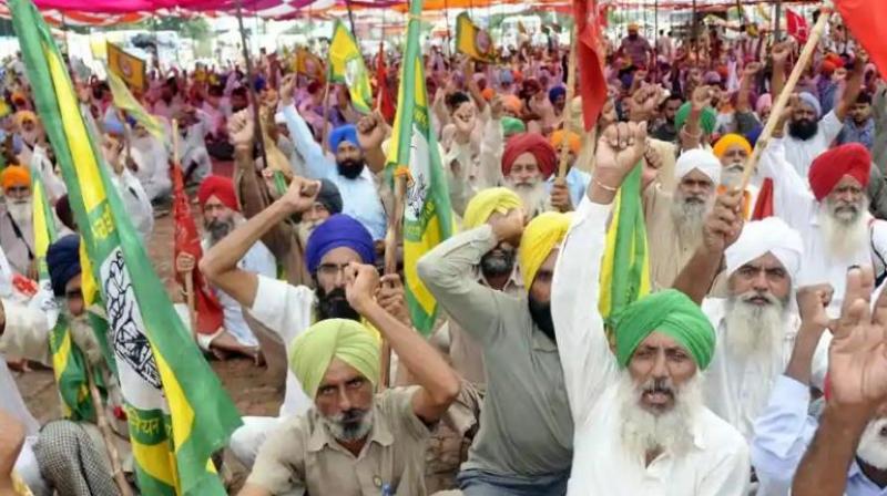 farmer Protest