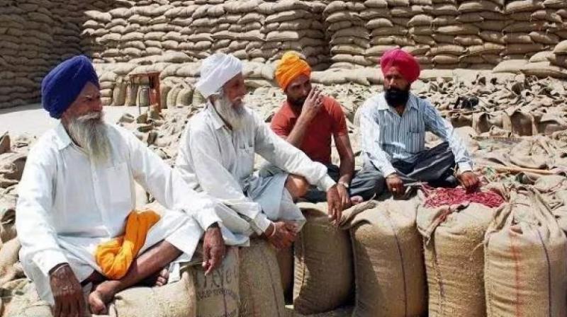 Punjab Recommendation To Center To Fix Wheat Price Punjab Recommendation To Center To Fix Wheat Price