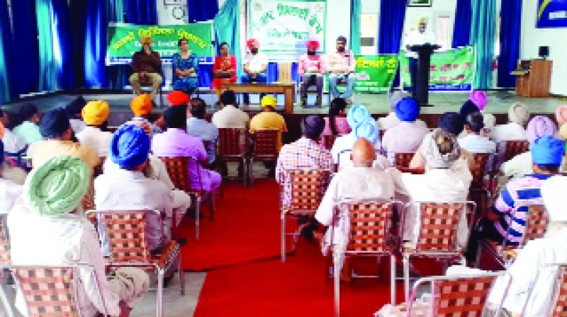 During the meeting Farmers and Agricultural Officers During the meeting Farmers and Agricultural Officers