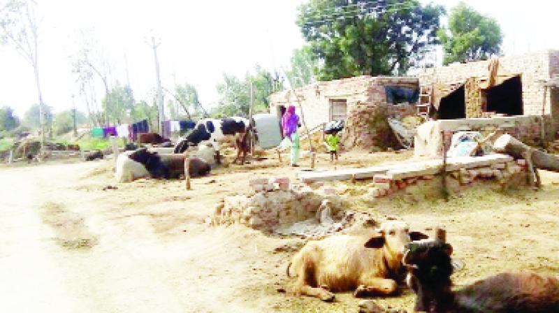 Villagers residing in Raw houses'