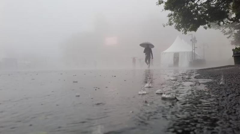 Haryana weather Haryana weather