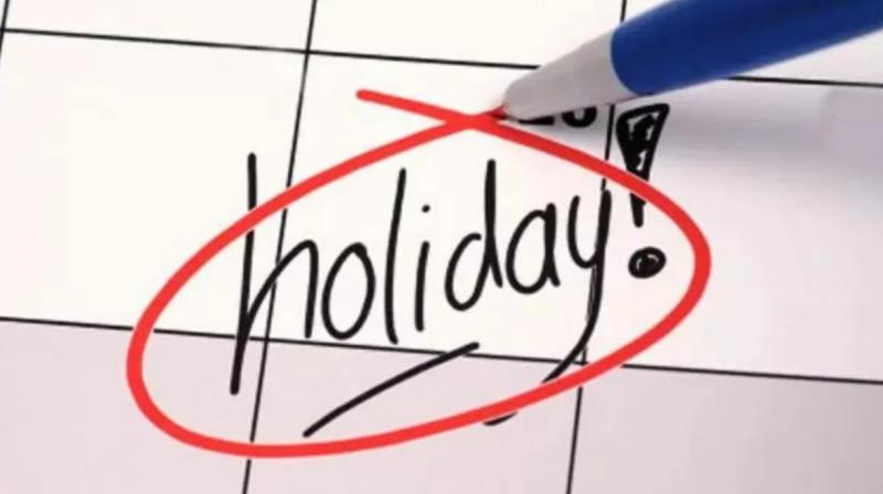 Chandigarh Holiday Chandigarh Holiday