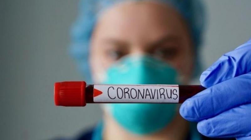 coronavirus coronavirus