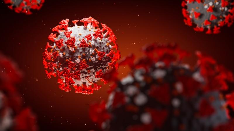 Coronavirus Coronavirus