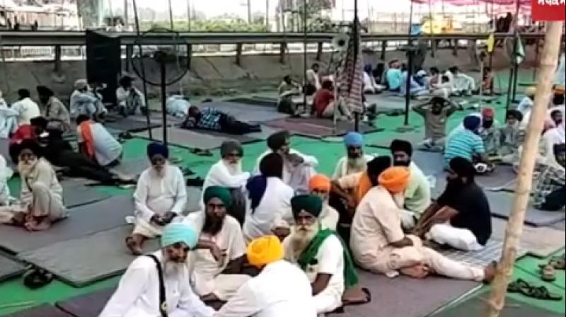 Punjab Sugarcane Farmers Protest Punjab Sugarcane Farmers Protest
