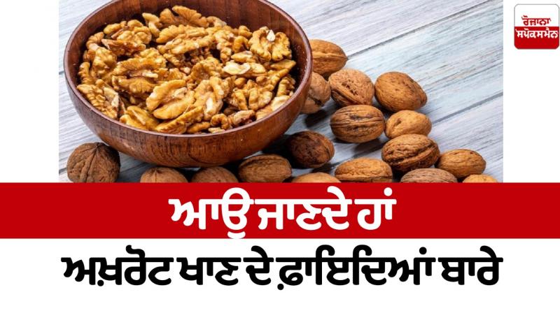 Let's know about the benefits of eating walnuts Health News Let's know about the benefits of eating walnuts Health News