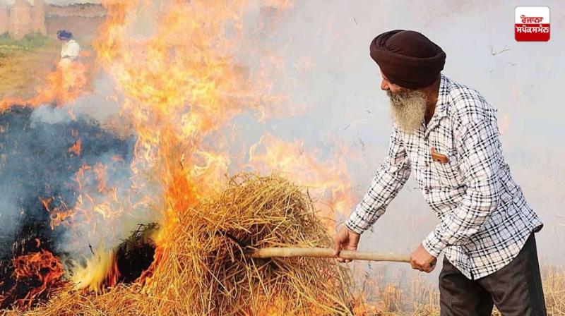 The central government has given Rs 1,681 crore to Punjab in the last seven years for stubble management The central government has given Rs 1,681 crore to Punjab in the last seven years for stubble management