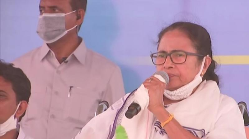 Mamata Banerjee