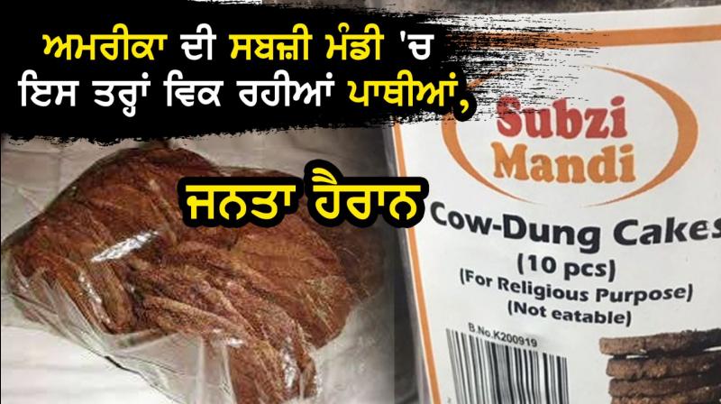 cow dunk cake sold cow dunk cake sold