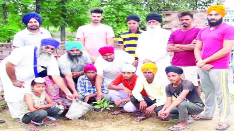 People Planting plants People Planting plants
