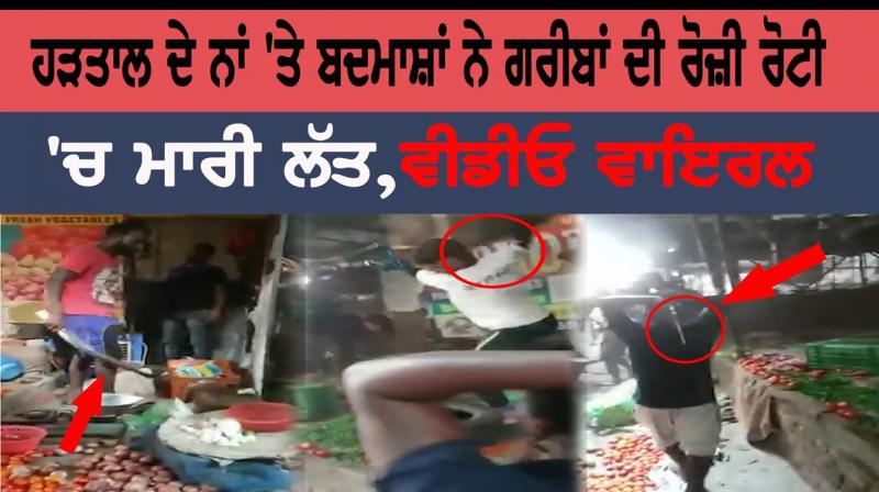 Jalandhar Vegetable Market Video Viral