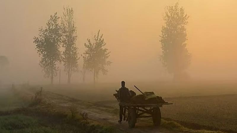 Punjab Weather Update