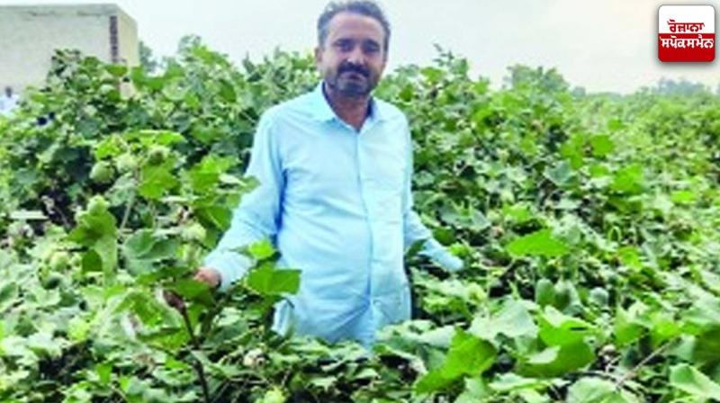 Farmer Ravi Kant Farmer Ravi Kant