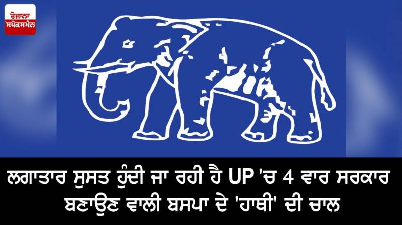 BSP BSP