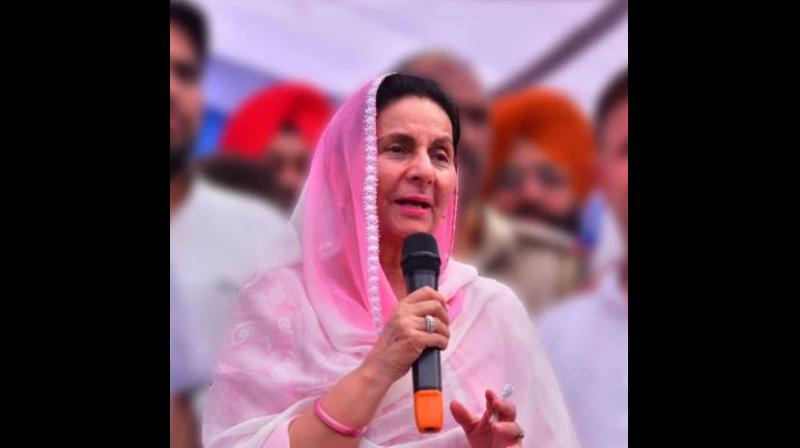 Praneet Kaur Praneet Kaur