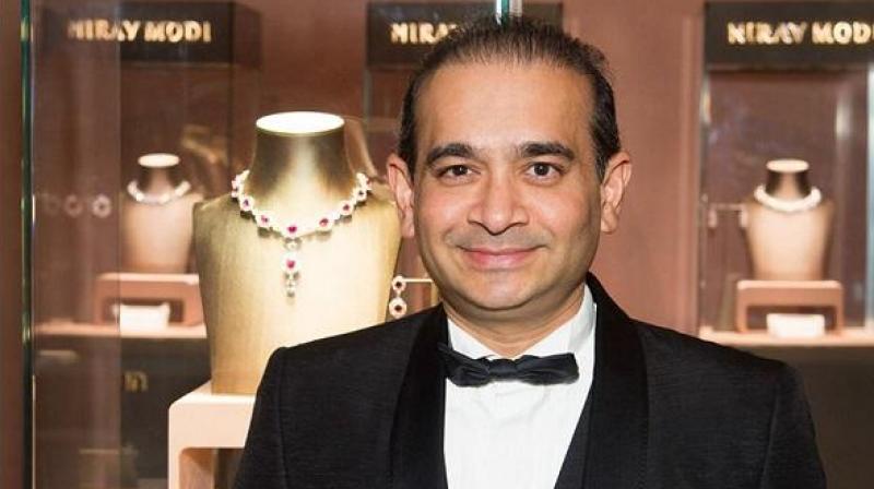 Nirav Modi Nirav Modi