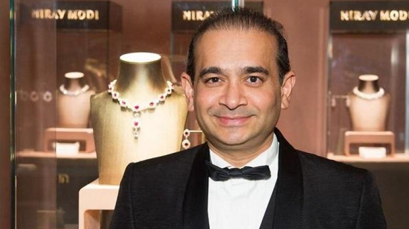 Nirav Modi