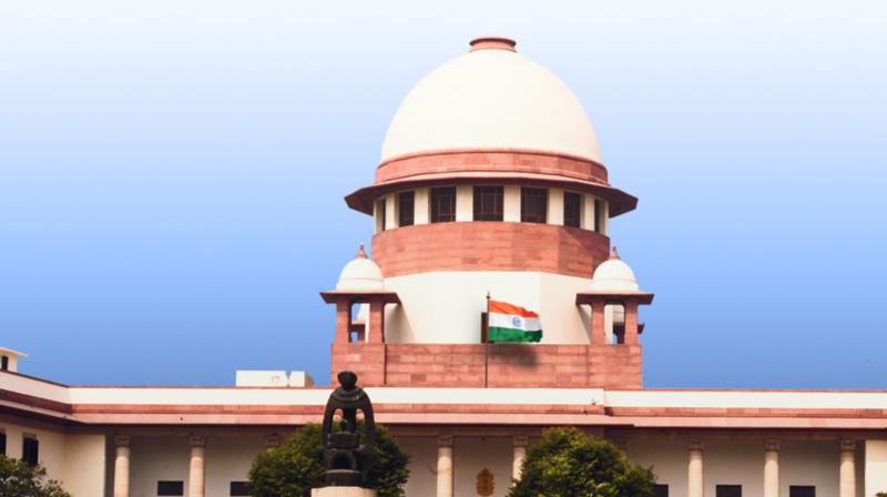 Kolkata rape-murder case: The court dismissed the petition demanding Banerjee's resignation Kolkata rape-murder case: The court dismissed the petition demanding Banerjee's resignation