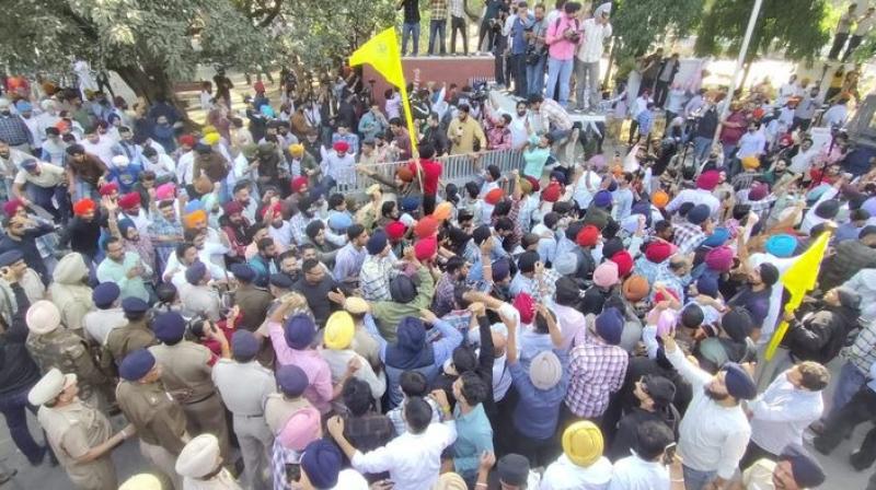 Panjab University Latest News