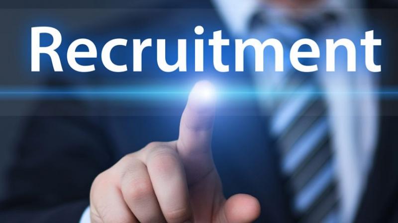 Recruitment of junior coach in Chandigarh, 8 posts will be filled on contract Recruitment of junior coach in Chandigarh, 8 posts will be filled on contract