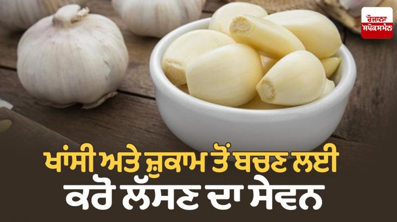 Consume garlic to avoid cough and cold Consume garlic to avoid cough and cold