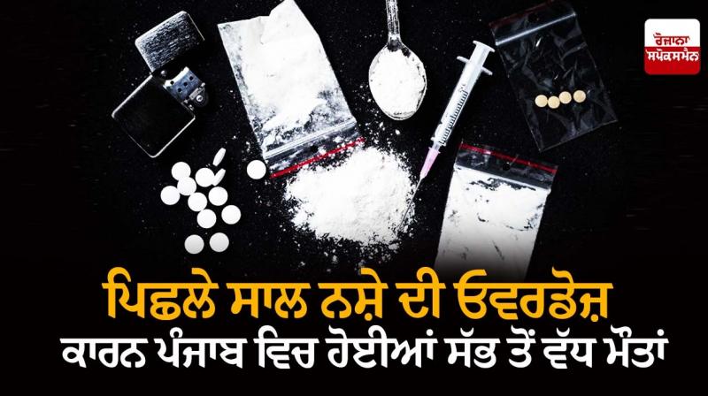 Punjab had maximum drug overdose deaths across India: NCRB data Punjab had maximum drug overdose deaths across India: NCRB data