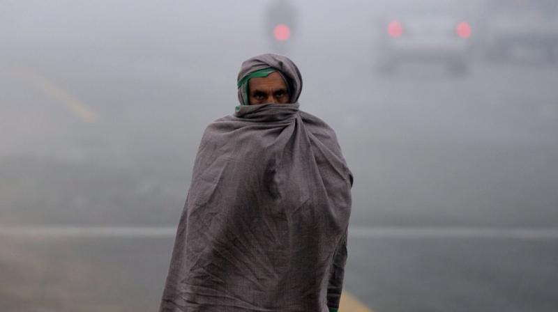 Fog Fog