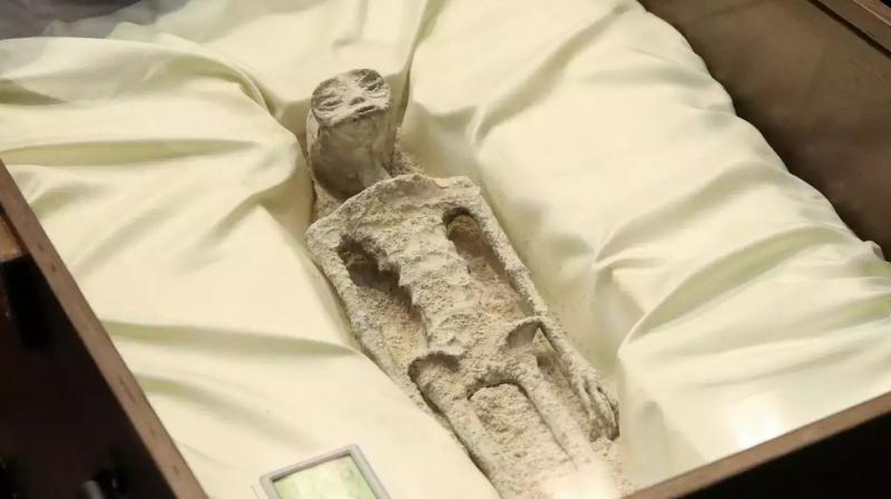 Skeletons presented in Mexico's parliament, claim- these are aliens Skeletons presented in Mexico's parliament, claim- these are aliens