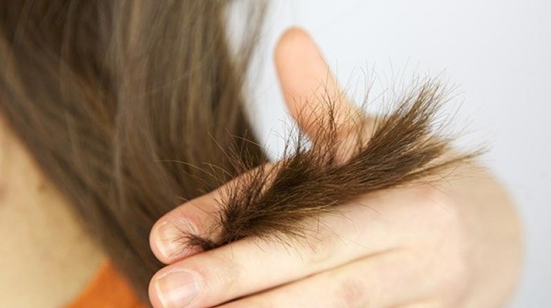 split ends split ends