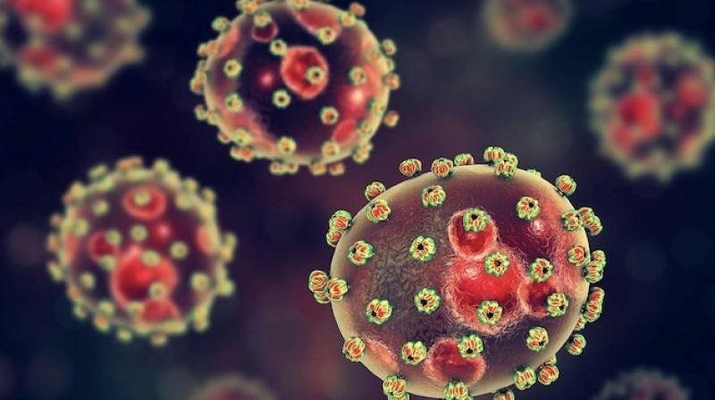 Lassa fever Lassa fever