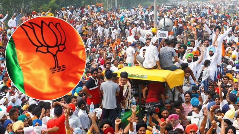bjp bjp