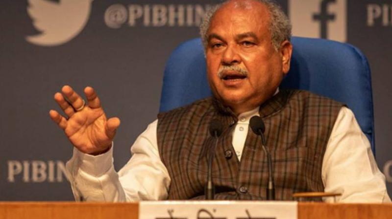 Agriculture Minister Narendra Singh Tomar Agriculture Minister Narendra Singh Tomar