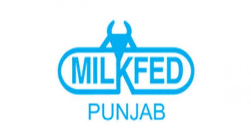 Milkfed increases milk procurement rates for farmers to tune of Rs. 20 per kilo fat Milkfed increases milk procurement rates for farmers to tune of Rs. 20 per kilo fat