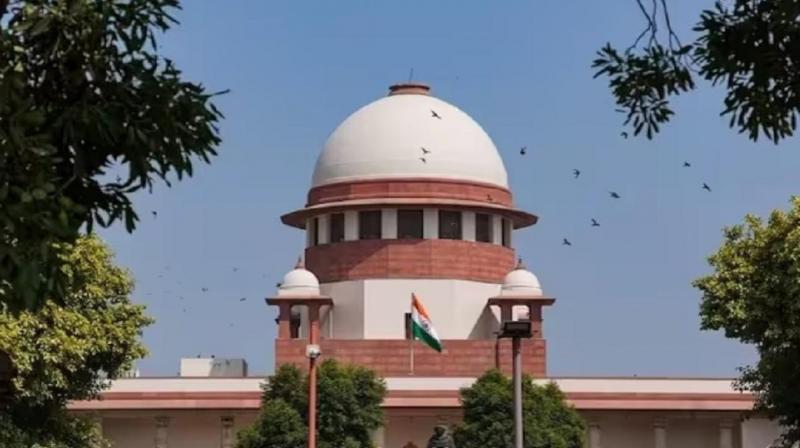If you want complete freedom, don't get married: Supreme Court